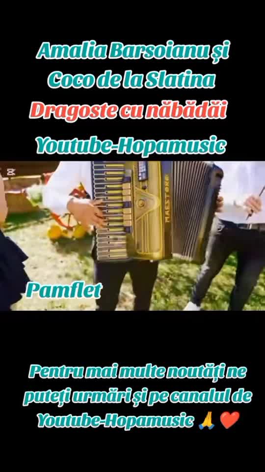 Muzica Hopamusic