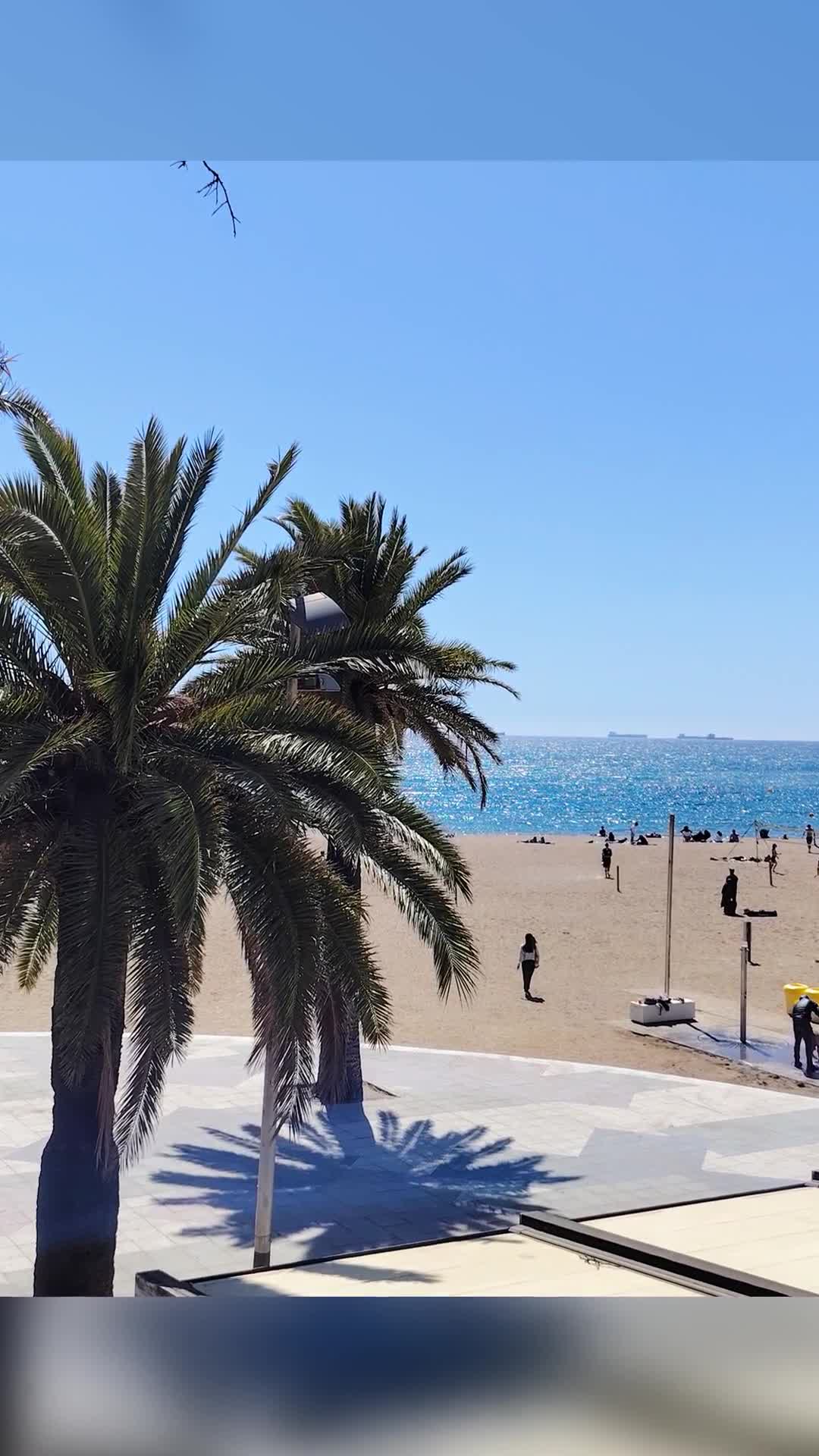 Video de @gupiuser924583