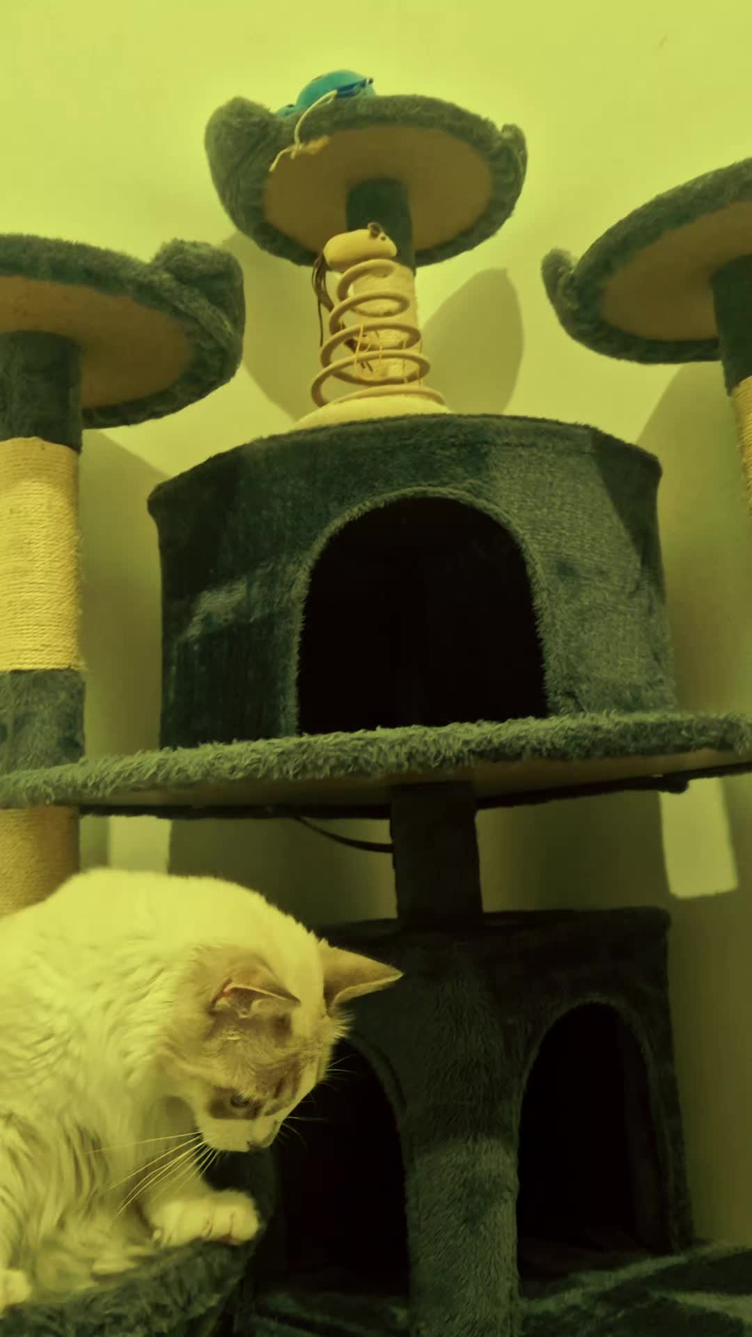 ❤️❤️❤️❤️