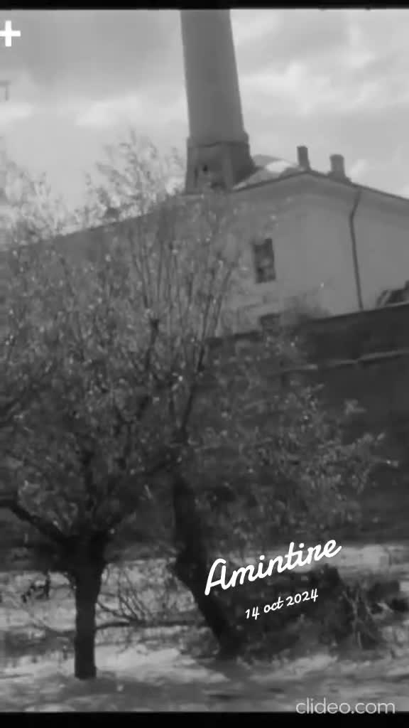 Video de @vicaisfan