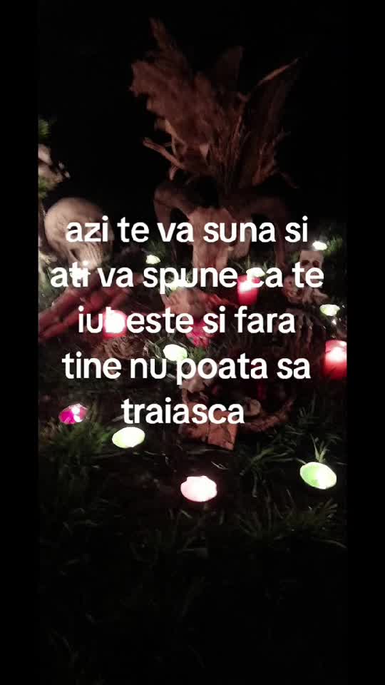 ASTA VEI AVEA AN VITOR ASCULT
