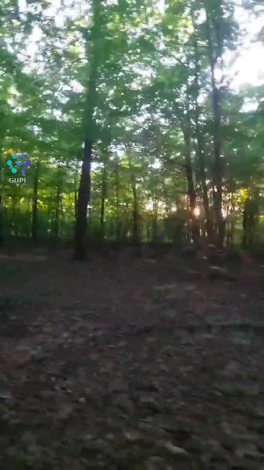 Video de @FLRica06