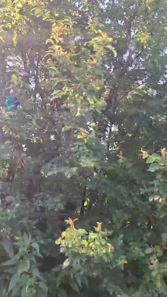 Video de @gupiuser241787