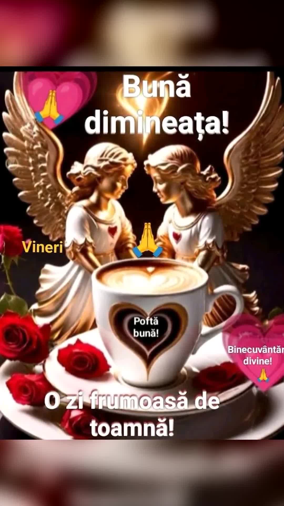 Video de @gupiuser446548