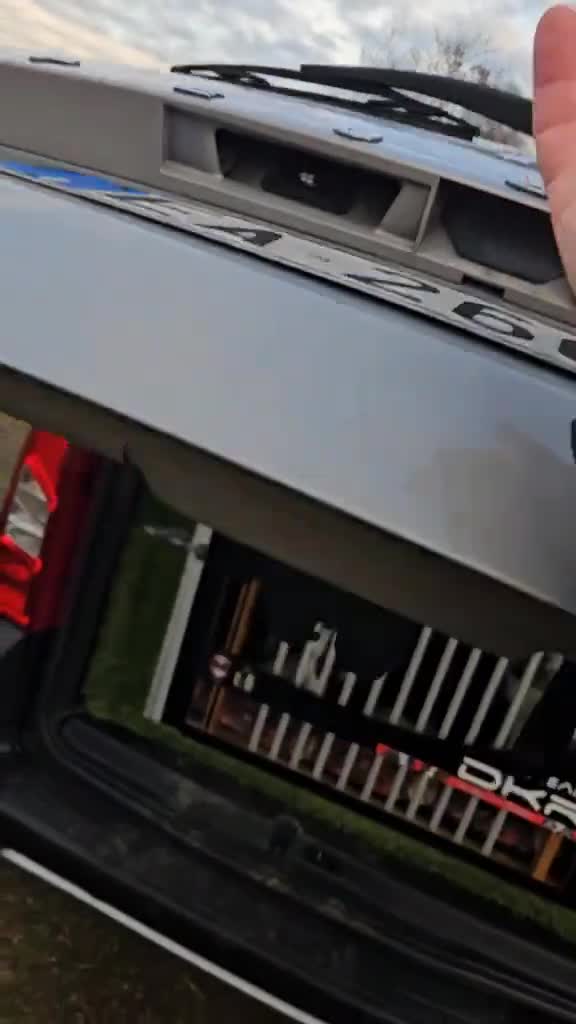 o mașină doar pentru ei 🤣🤣 Un Peugeot Rifter plin cu câini. mai mult nu se poate 
șini