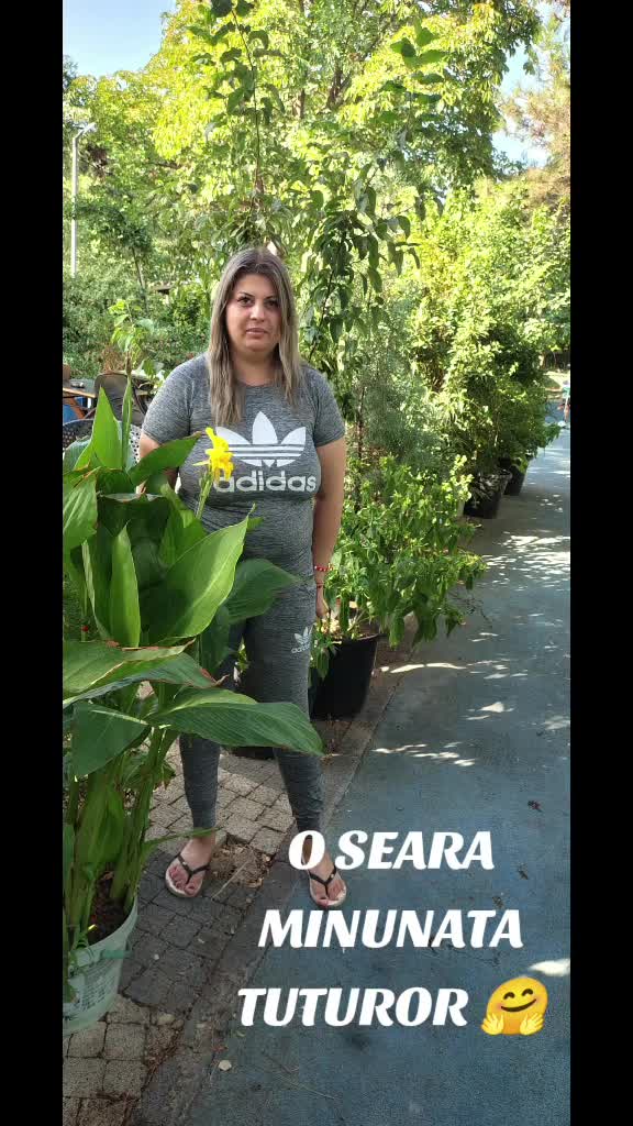 Video de @gupiuser869202