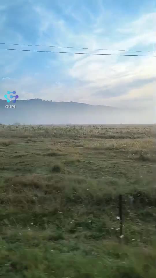 Video de @gupiuser164981