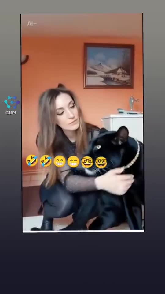 Video de @gupiuser263400