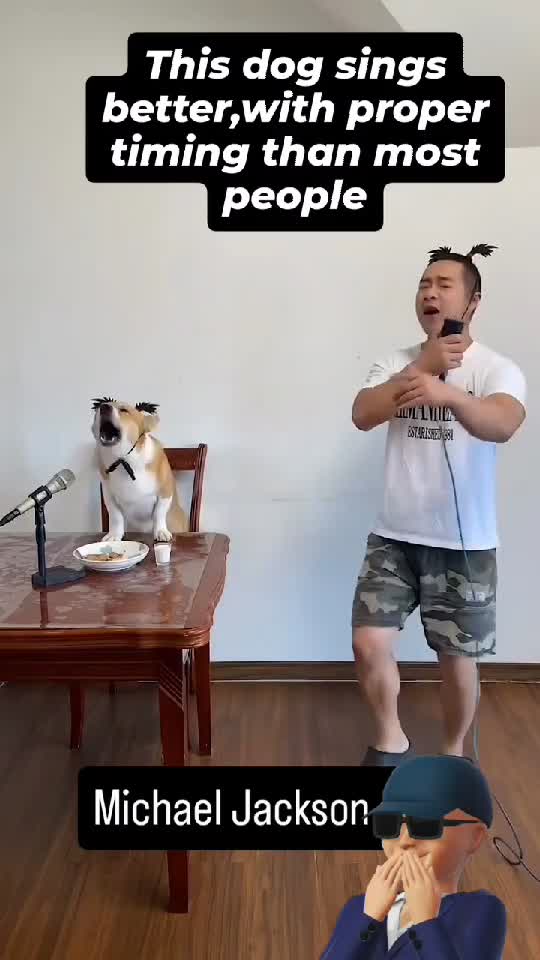 Cățelul e mai talentat că stăpânul său !♥️♥️♥️🤣🤣🤣