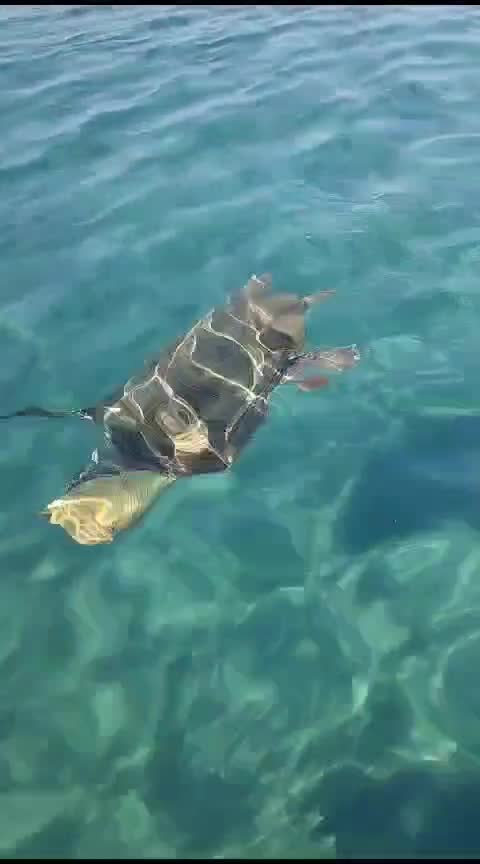 #Grecia