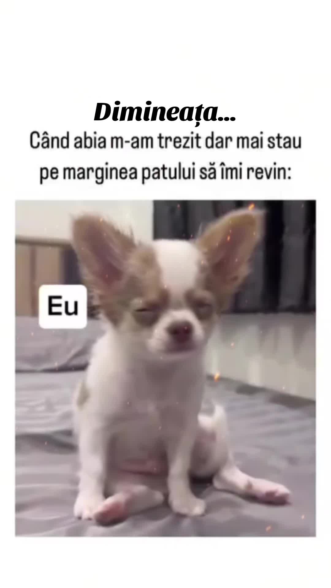 Video de @gupiuser144503