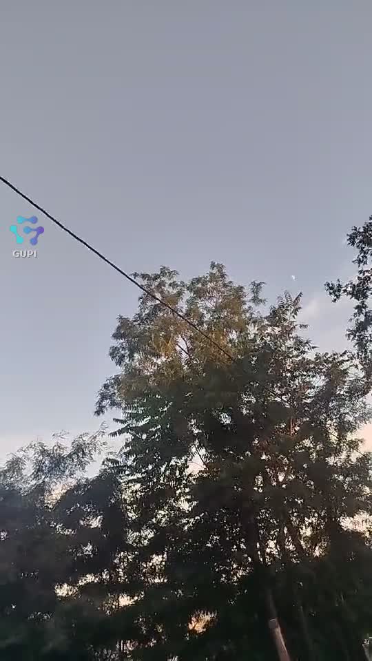 Video de @gupiuser375806