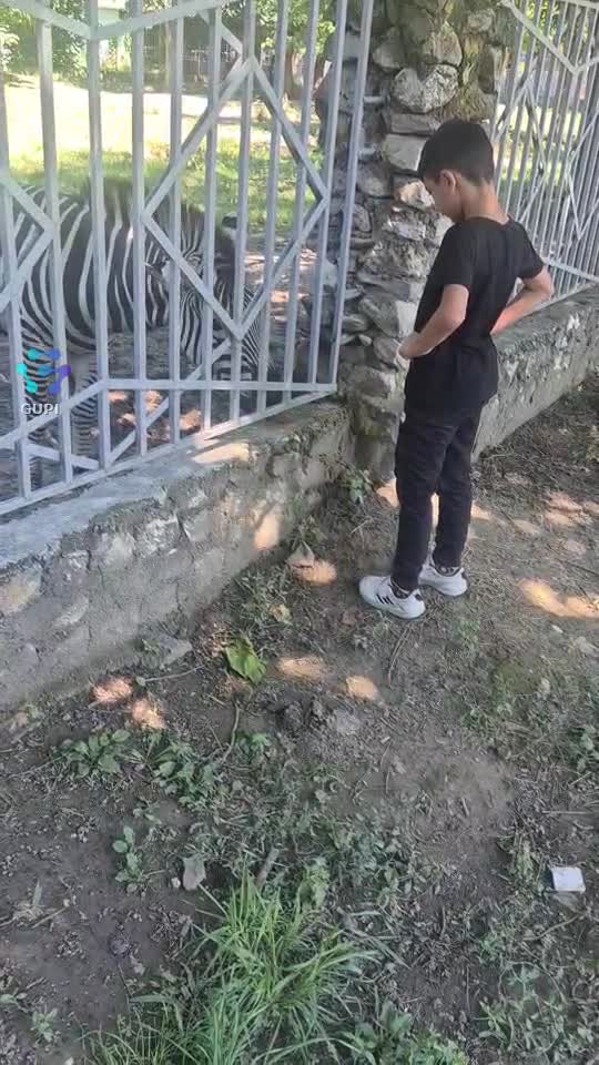 calutu invargat