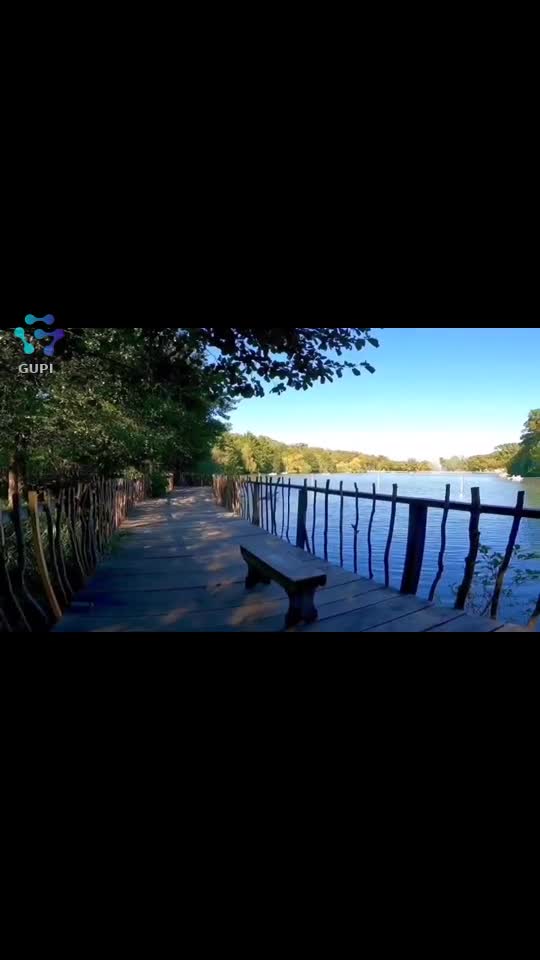 Video de @FLRica06