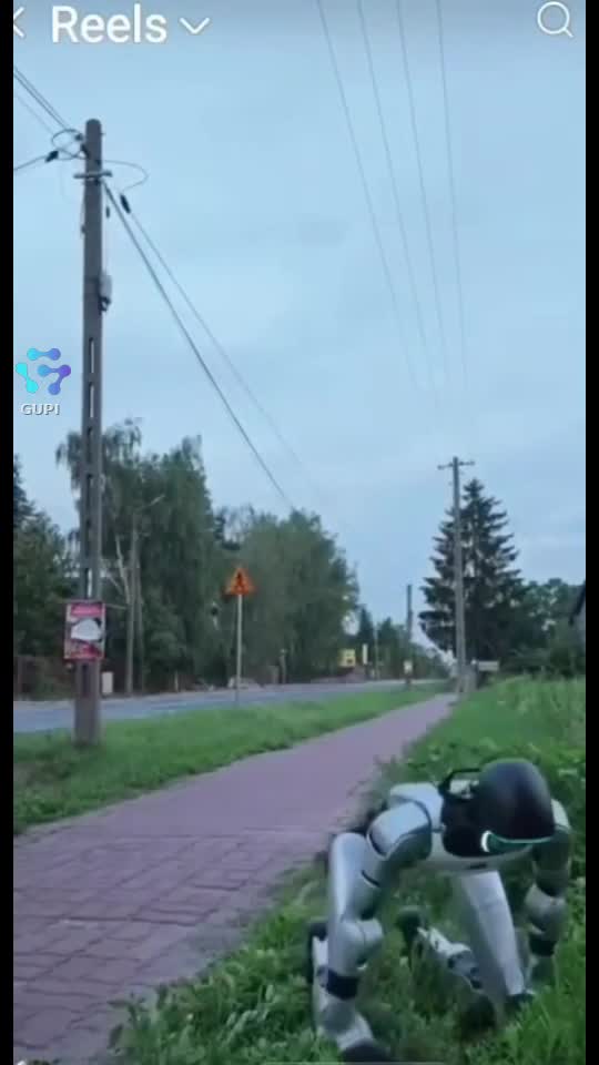 🤣