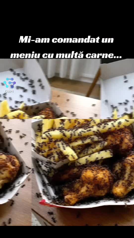 meniu specialitatea casei cu multă carne...😁😁😁