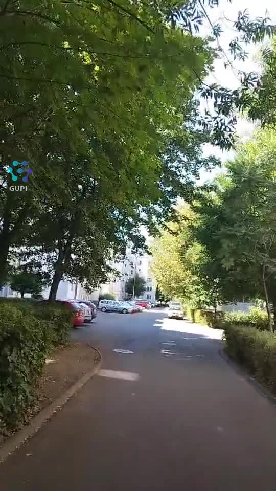 🌴🌴🌴🌴🌴