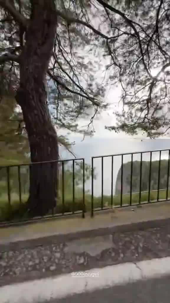 Video de @gupiuser1011995