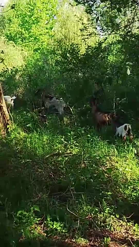 farmacia naturii pentru tine