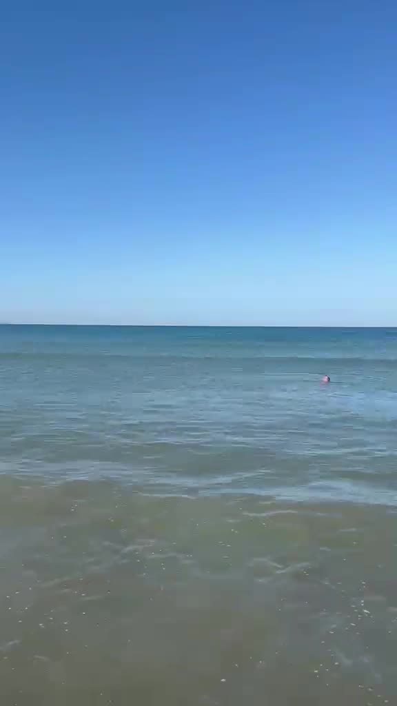 Video de @gupiuser166711