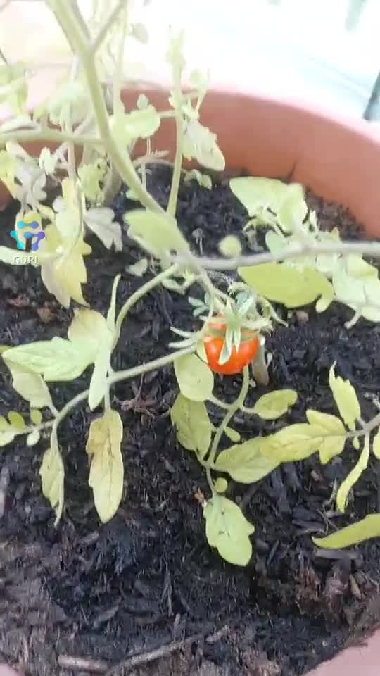 😅😅😅
1 
solo tu
munai tu
🤣🤣🤣