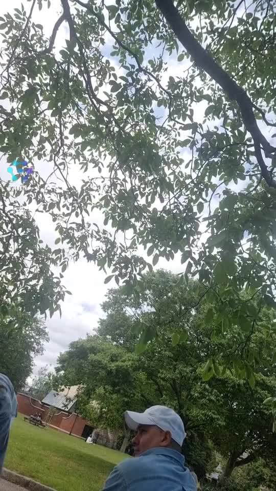 Video de @gupiuser125746