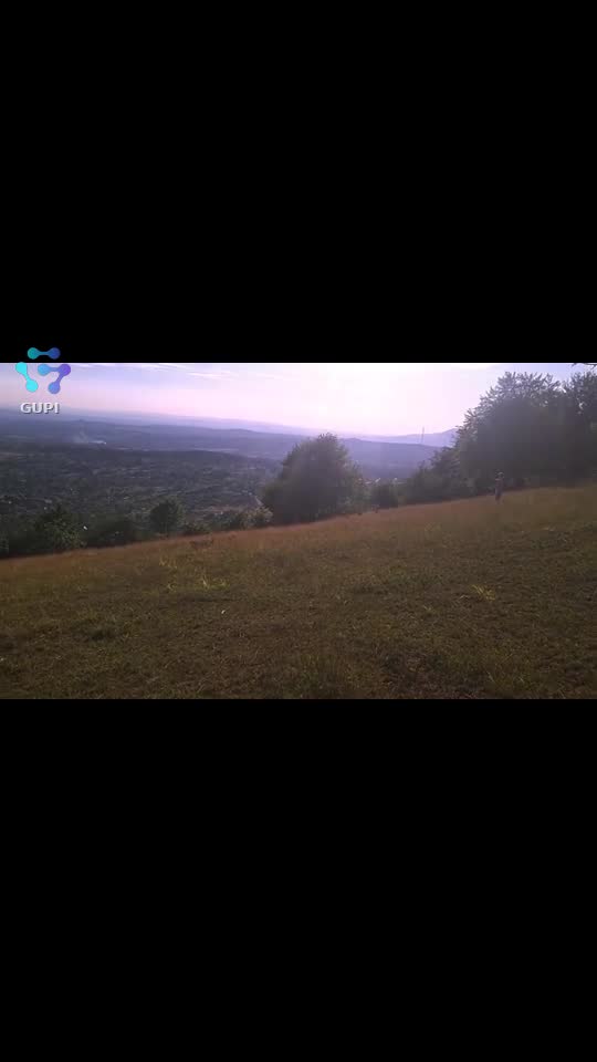 Video de @gupiuser573615