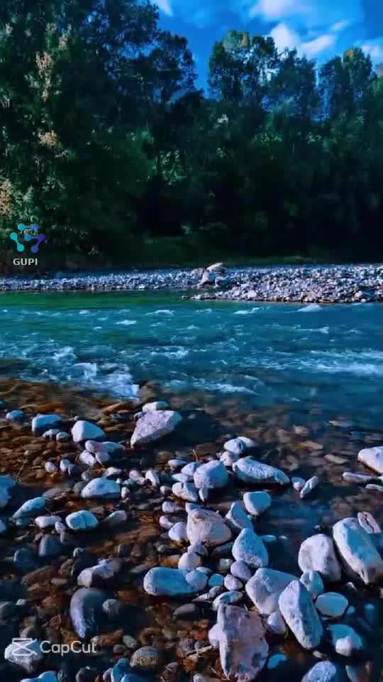 Video de @gupiuser162937
