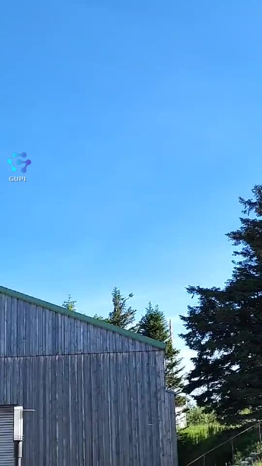 Video de @gupiuser248570