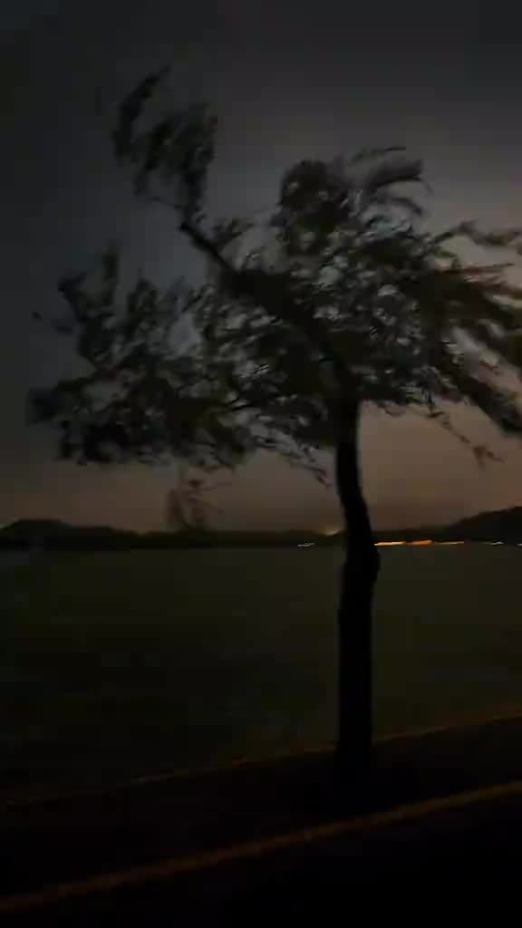Video de @gupiuser147071