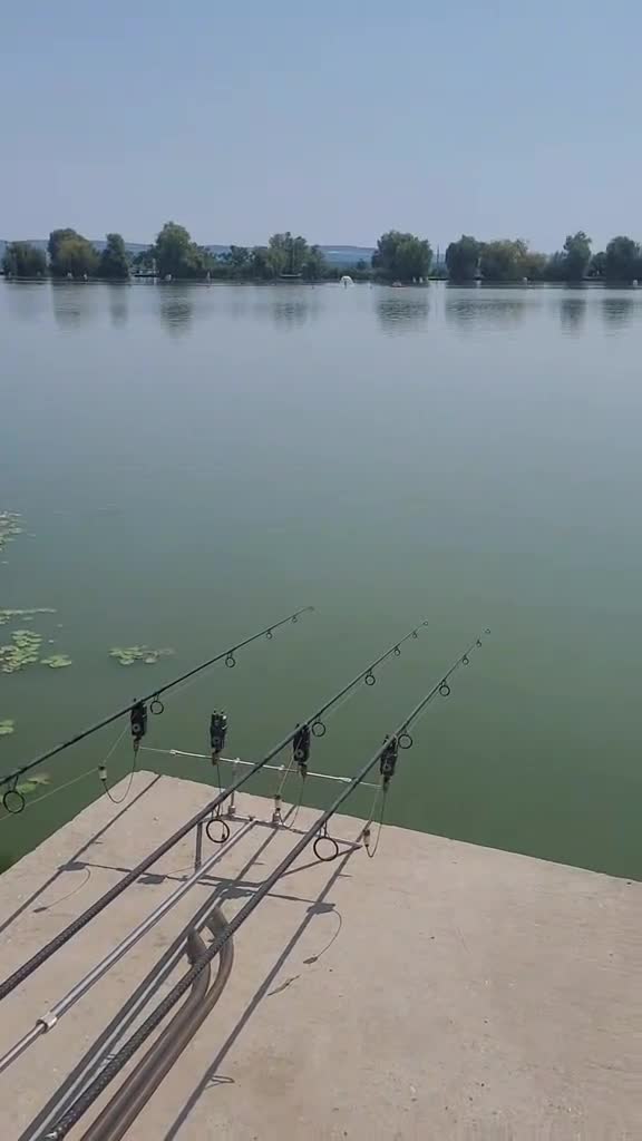 #fishing