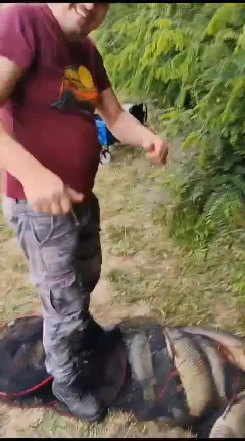 💪💪💪💪