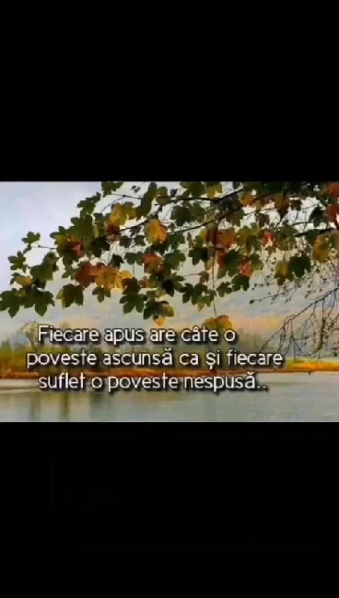 Video de @gupiuser760707