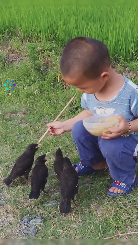 Video de @gupiuser167065