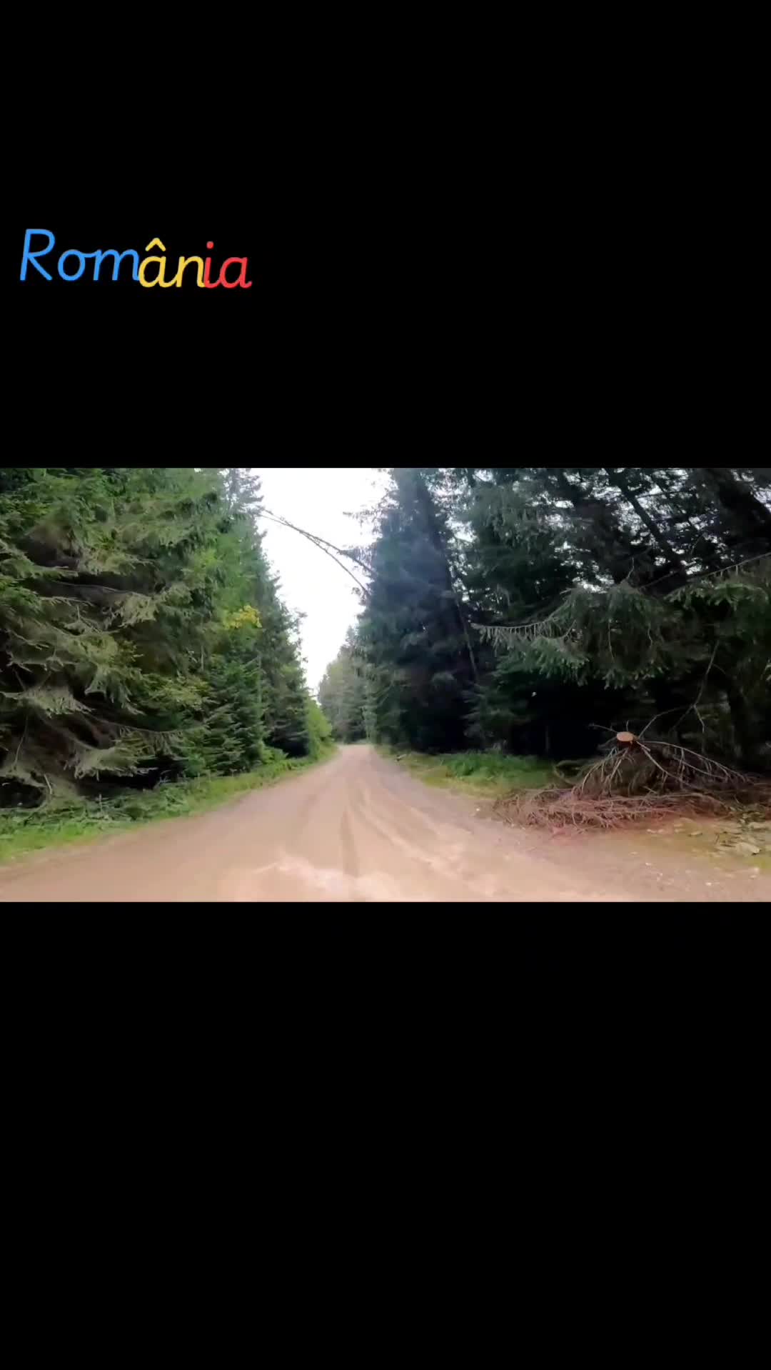 Video de @FLRica06