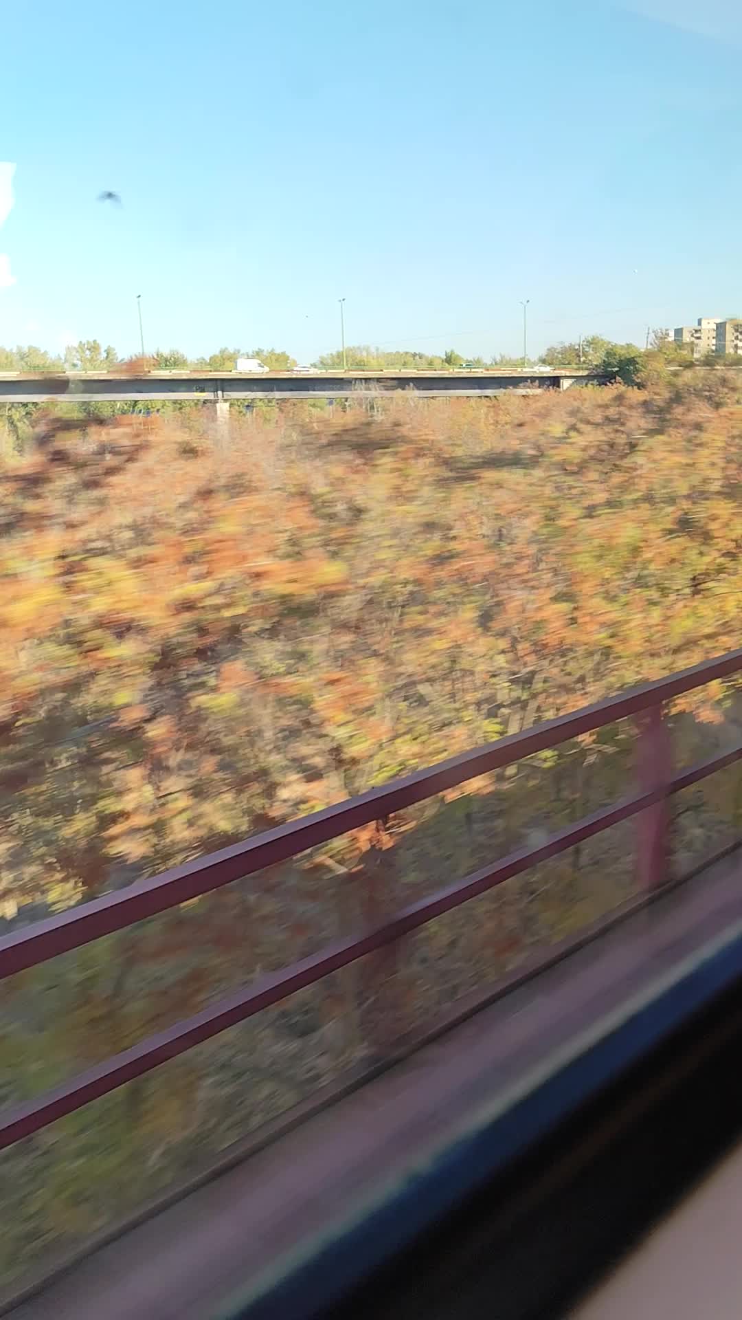 Video de @gupiuser902980