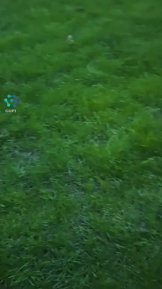 Video de @gupiuser241787