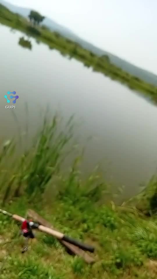 #fishing