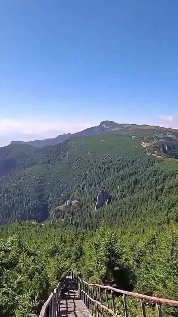 Vârful Toaca 
vara/iarna