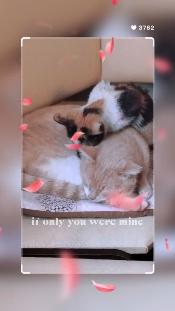 ❤️❤️❤️