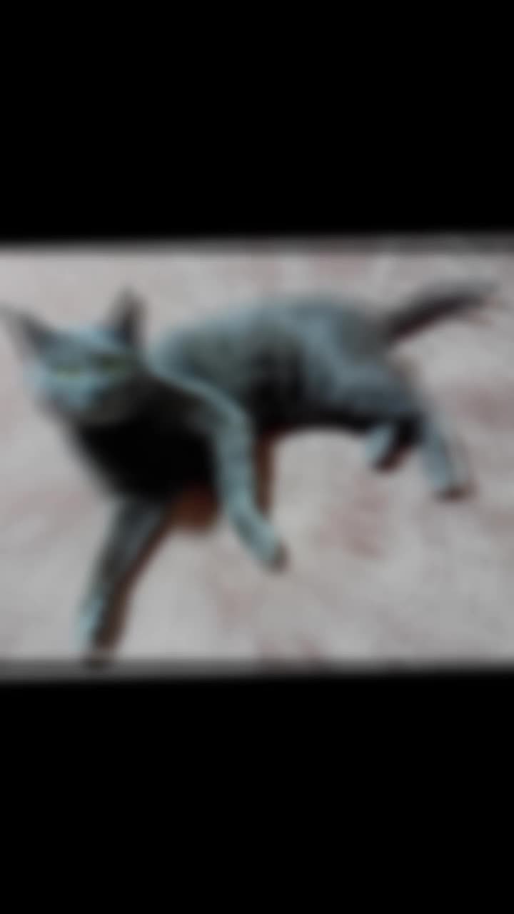 Oscar