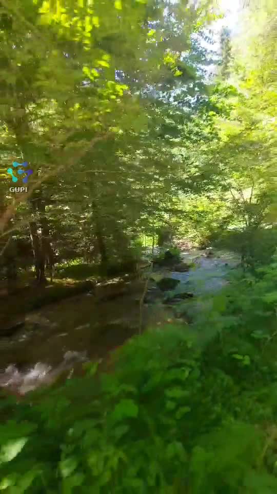 Video de @FLRica06