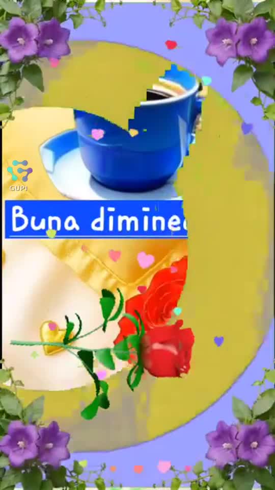 Video de @gupiuser157697