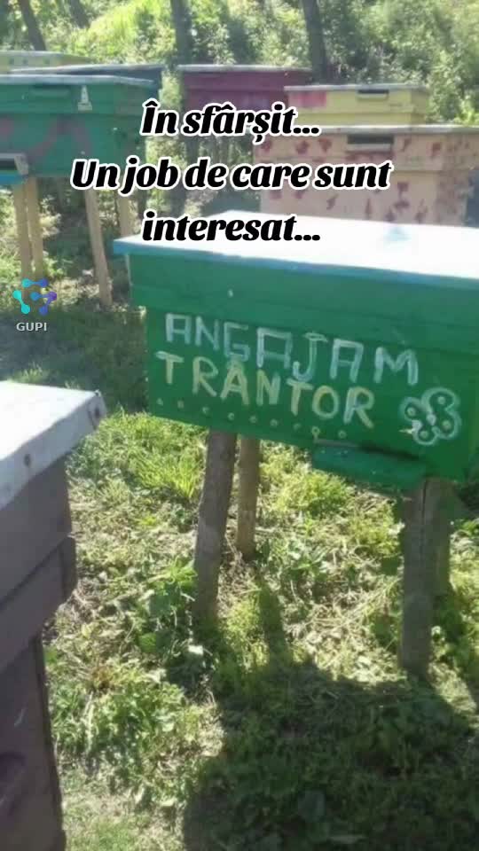 în sfârșit... mi-am găsit job...😁😁