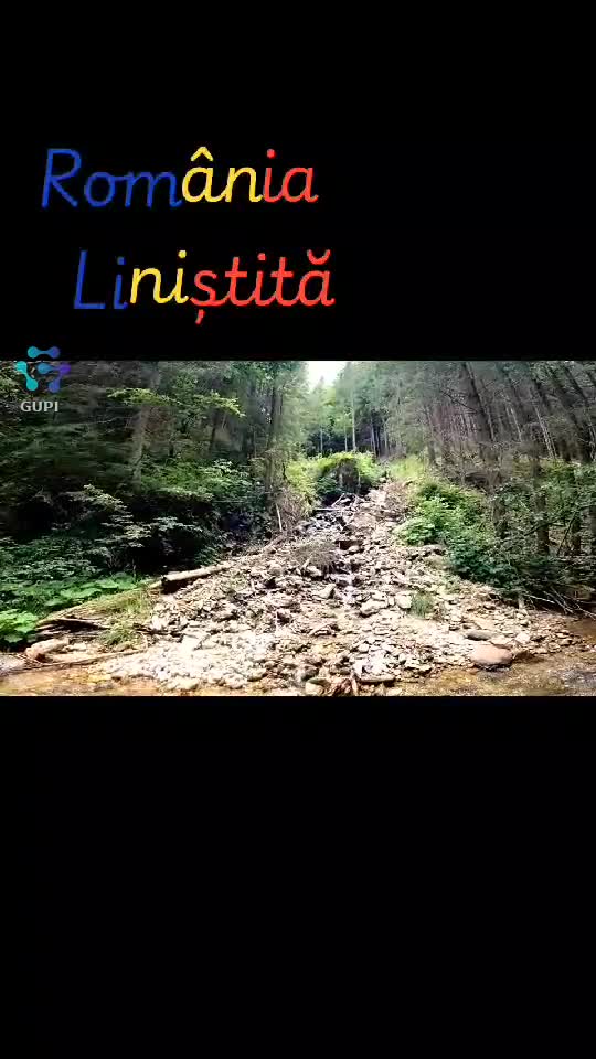 Video de @FLRica06