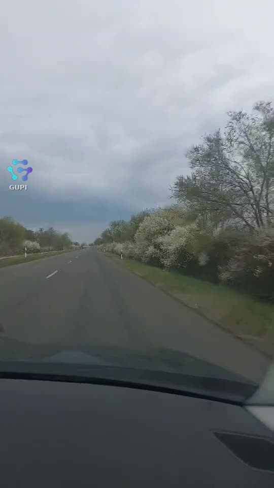 Video de @gupiuser371546