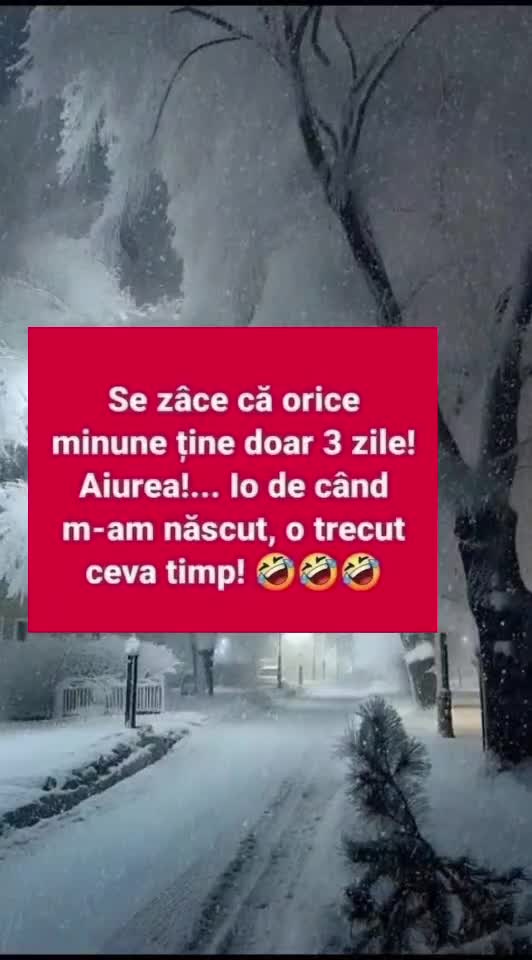 🇷🇴🤪🇷🇴#🇷🇴🤣🤣