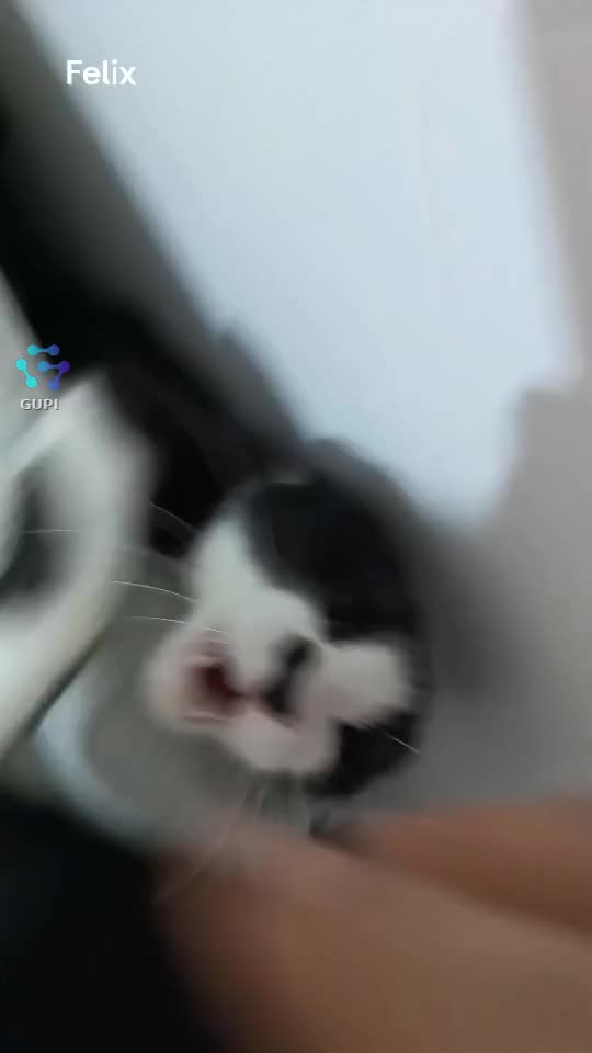 Felix este rău! 😘