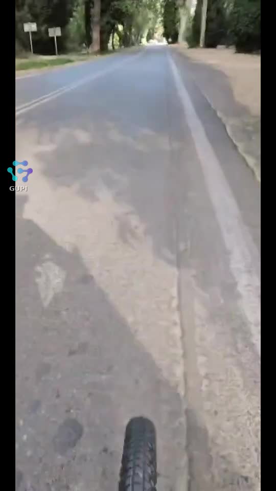 Video de @gupiuser121277