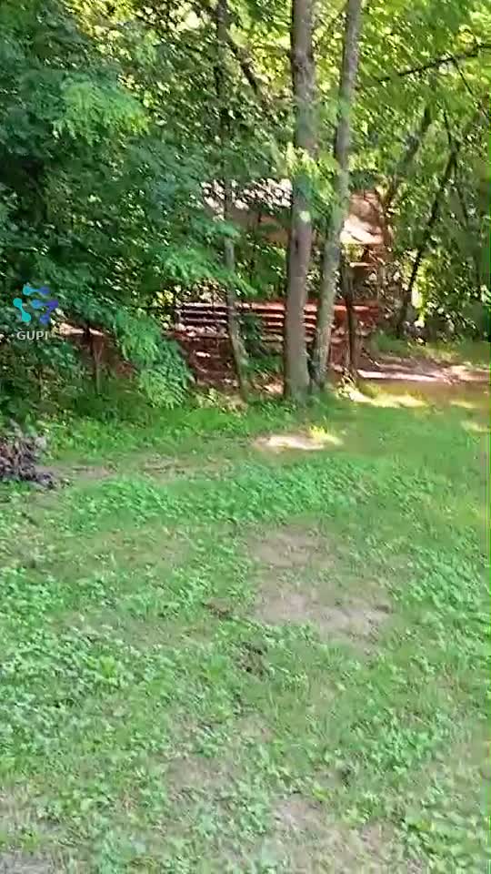 Video de @gupiuser248495